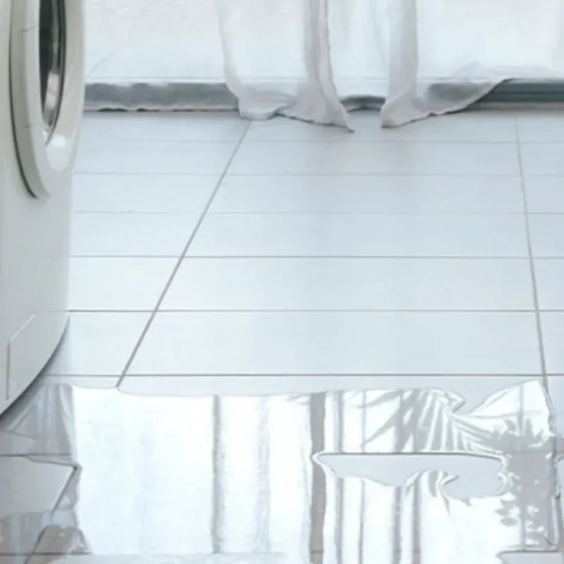 Appliance Leak Cleanup in Rogersville, AL