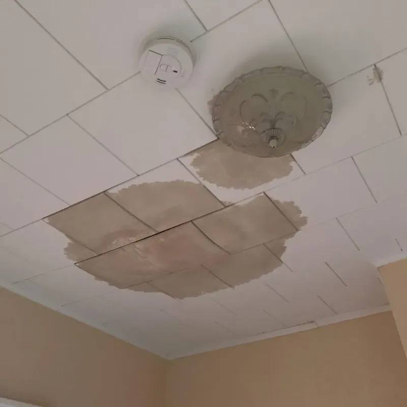 Ceiling Water Damage Repair in Rogersville, AL