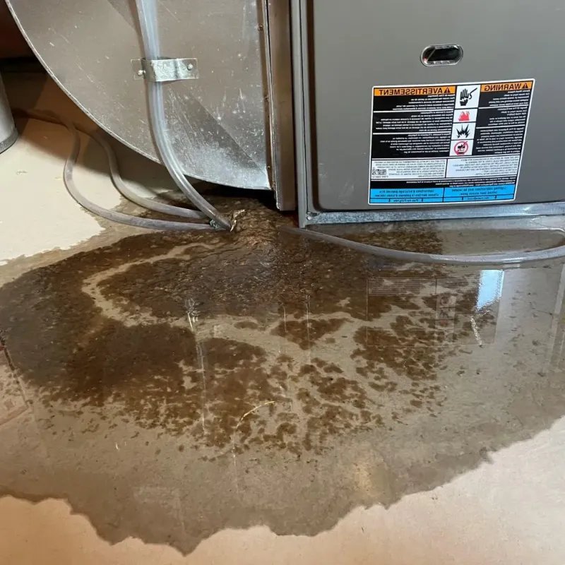 Pipe Burst and Leak Restoration in Rogersville, AL