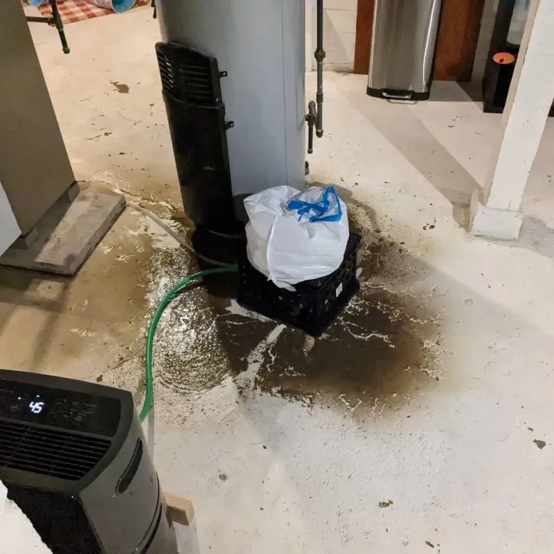 Sewage Backup Cleanup Service in Rogersville, AL